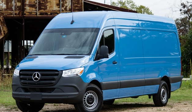 Welpenversand & Transport